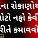 How to Earn Big Profits with a Small Investment