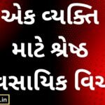 The Best Business Ideas for an Individual